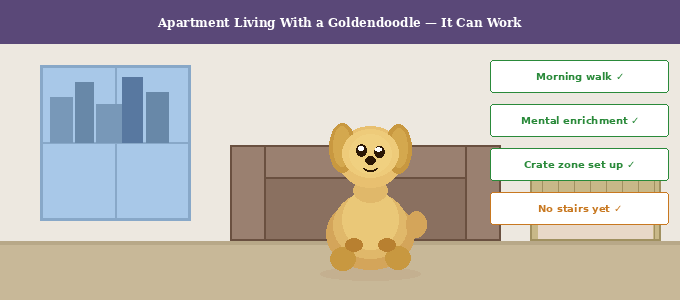 Apartment living with a Goldendoodle — illustrated apartment scene showing crate setup, sofa zone, and settled puppy