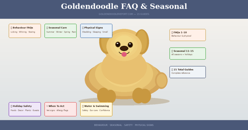 Goldendoodle FAQ and seasonal guide hub — illustrated overview of all 15 guides for Goldendoodle owners
