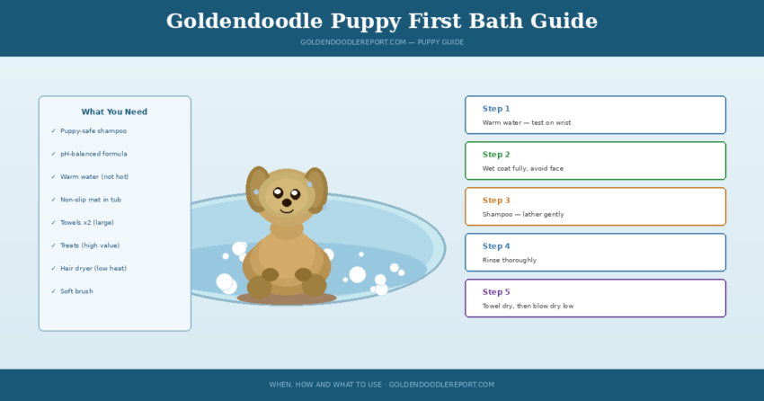 Goldendoodle puppy first bath guide — illustrated scene showing puppy in bath with products checklist and step guide