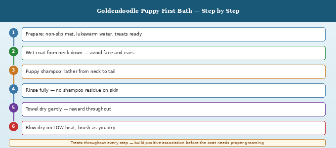 Goldendoodle puppy first bath step by step guide showing six stages from preparation to blow drying