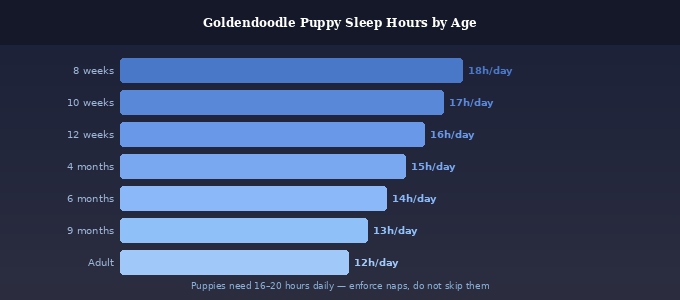 Goldendoodle puppy sleep schedule — bar chart showing daily sleep hours from 8 weeks to adulthood