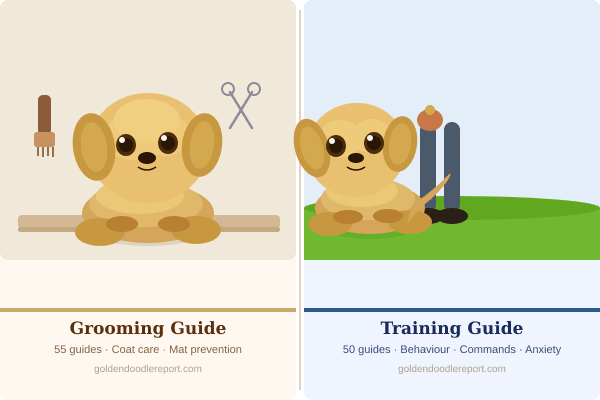 Goldendoodle grooming guides and training guides at Goldendoodle Report