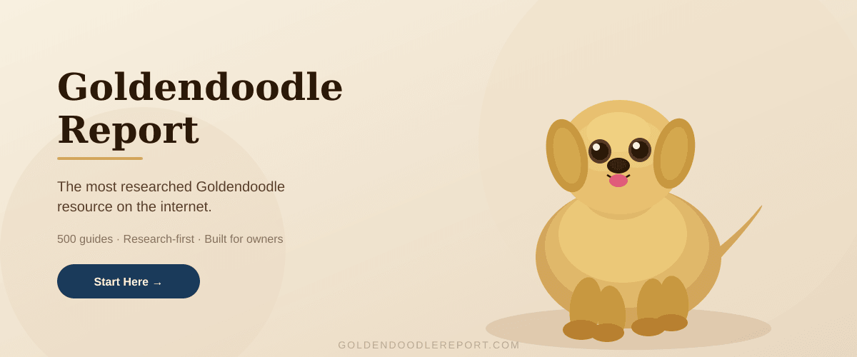 Goldendoodle Report — the most researched Goldendoodle resource on the internet