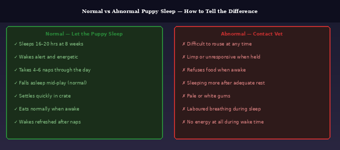 How much sleep does a Goldendoodle puppy need — normal versus abnormal sleep signals comparison showing what to watch for at each stage