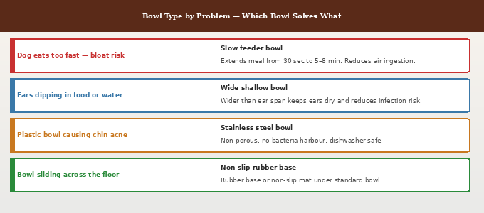 Best puppy food bowls for Goldendoodles — bowl type by problem showing which bowl solves fast eating, ear dipping, plastic bacteria, and bowl sliding