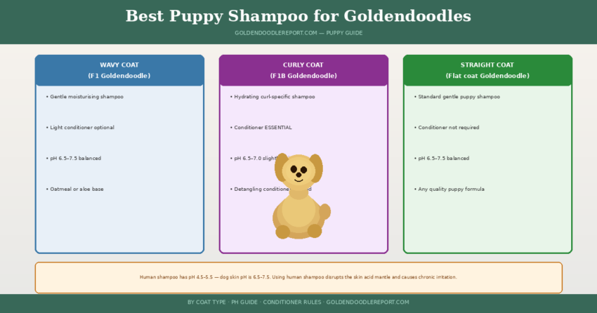 Best puppy shampoo for Goldendoodles — three coat type columns showing shampoo formulation and conditioner requirements for wavy, curly, and straight Goldendoodle coats