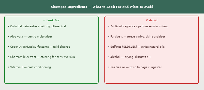Best puppy shampoo for Goldendoodles — ingredient guide showing what to look for and what to avoid in puppy shampoo formulations
