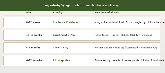 Best toys for Goldendoodle puppies — age by category table showing what toy types to prioritise at each developmental stage from 8 weeks to 12 months