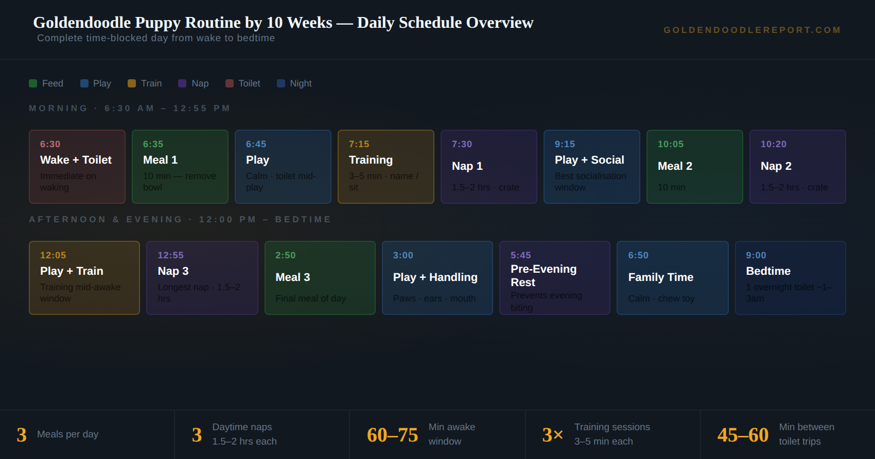 Goldendoodle puppy routine by 10 weeks — complete time-blocked daily schedule showing feed, toilet, play, training and nap blocks