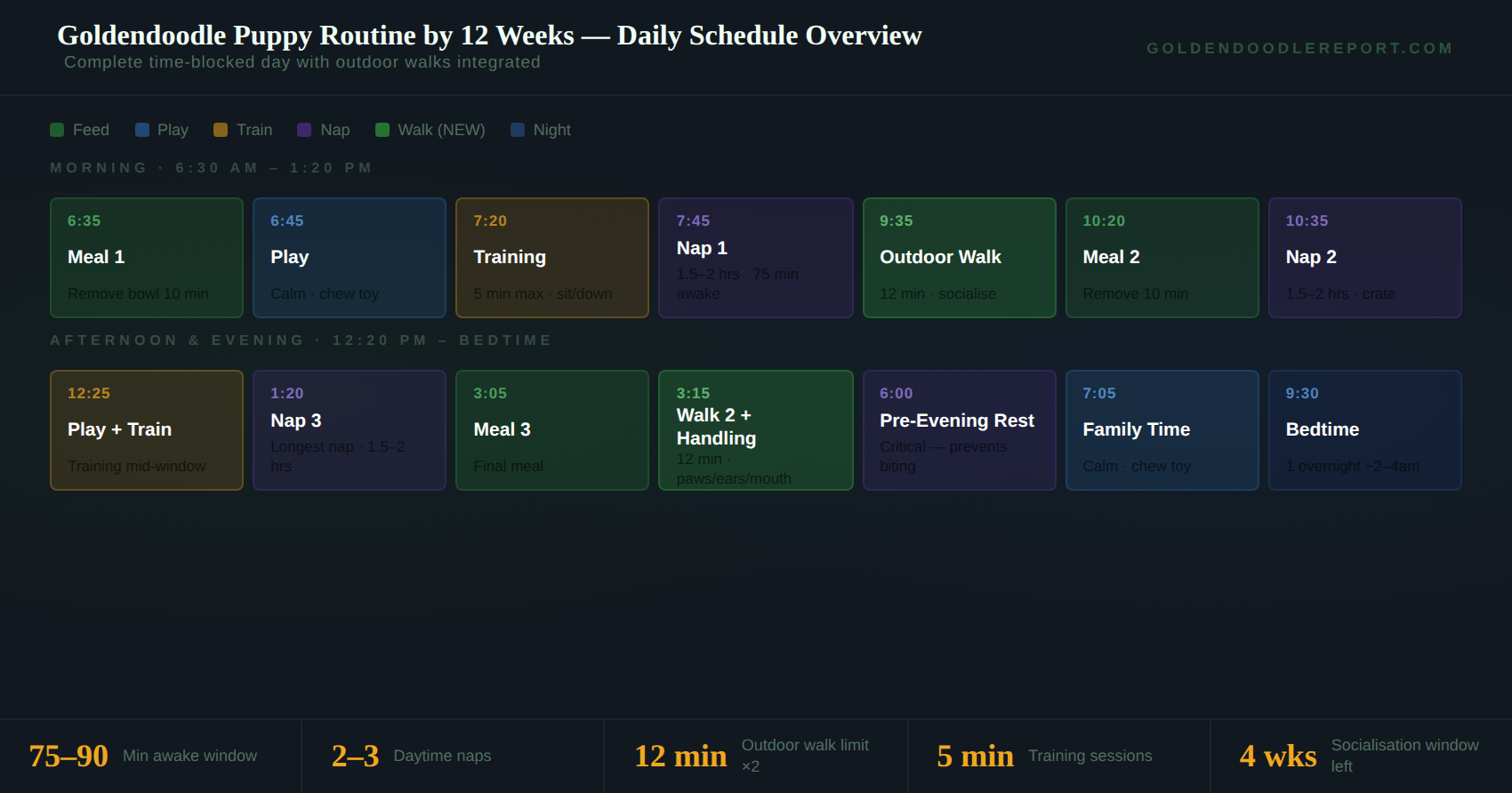 Goldendoodle puppy routine by 12 weeks — complete time-blocked daily schedule showing feed, toilet, outdoor walk, training and nap blocks