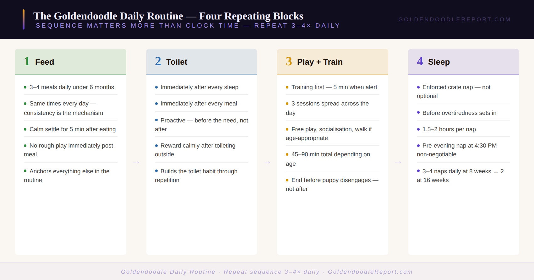 Goldendoodle daily routine — the four repeating daily blocks showing Feed, Toilet, Play and Train, and Sleep framework