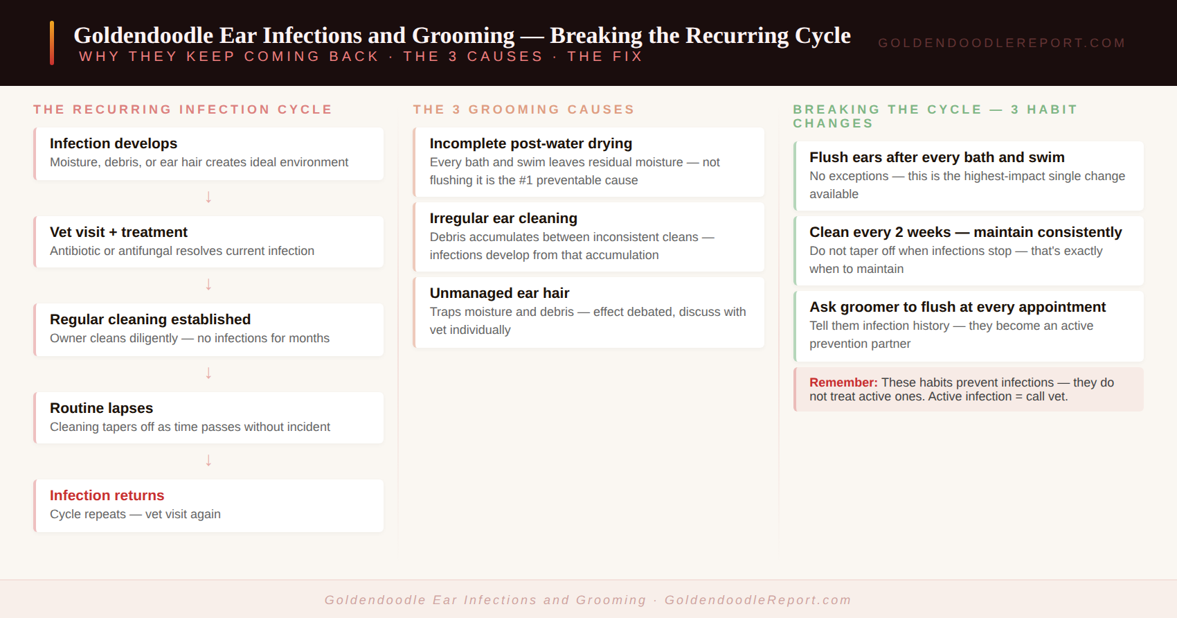 Goldendoodle ear infections and grooming — showing the three grooming factors that cause ear infections and the prevention habits that break the cycle