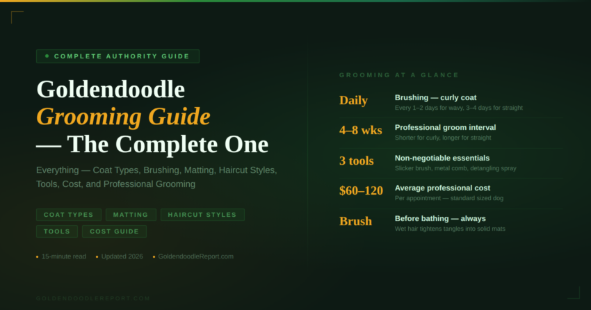 Goldendoodle grooming guide — complete authority guide covering coat types, brushing, matting, haircut styles, tools, professional grooming costs and everything in between