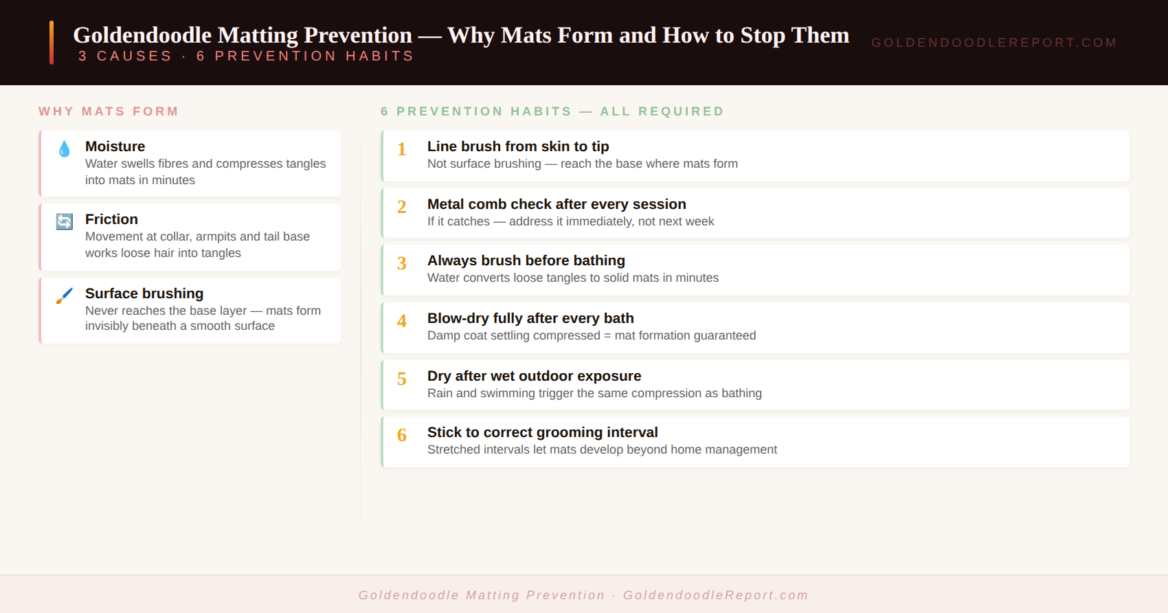 Goldendoodle matting prevention — guide showing the 5 high-risk mat areas and the prevention habits that stop mats forming