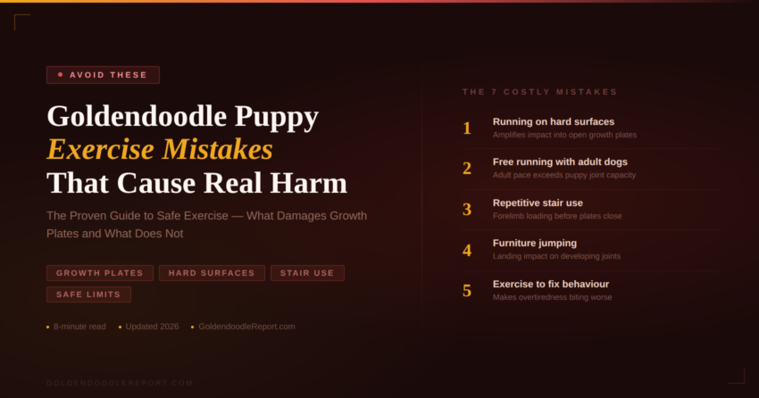Goldendoodle puppy exercise mistakes — growth plate location diagram showing vulnerable joints and safe exercise guideline by age