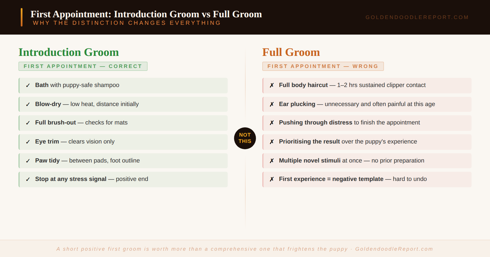 Goldendoodle puppy first grooming 4-week home preparation protocol — week by week steps