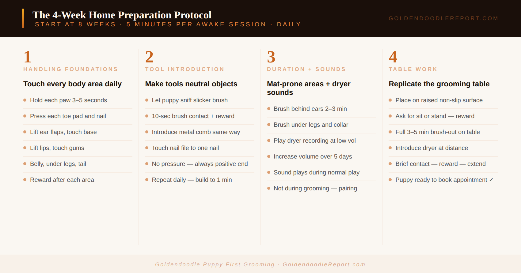 What to expect at a Goldendoodle puppy first grooming appointment — intro groom vs full groom breakdown