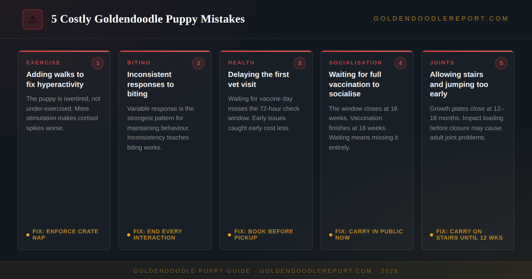 Five costly Goldendoodle puppy mistakes — exercise, biting, health, socialisation and joints with corrections for each
