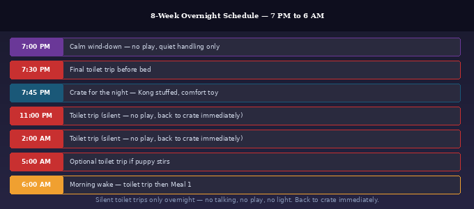 Goldendoodle puppy routine by 8 weeks — overnight schedule showing silent toilet trips from 7 PM to 6 AM with crate times and morning wake protocol