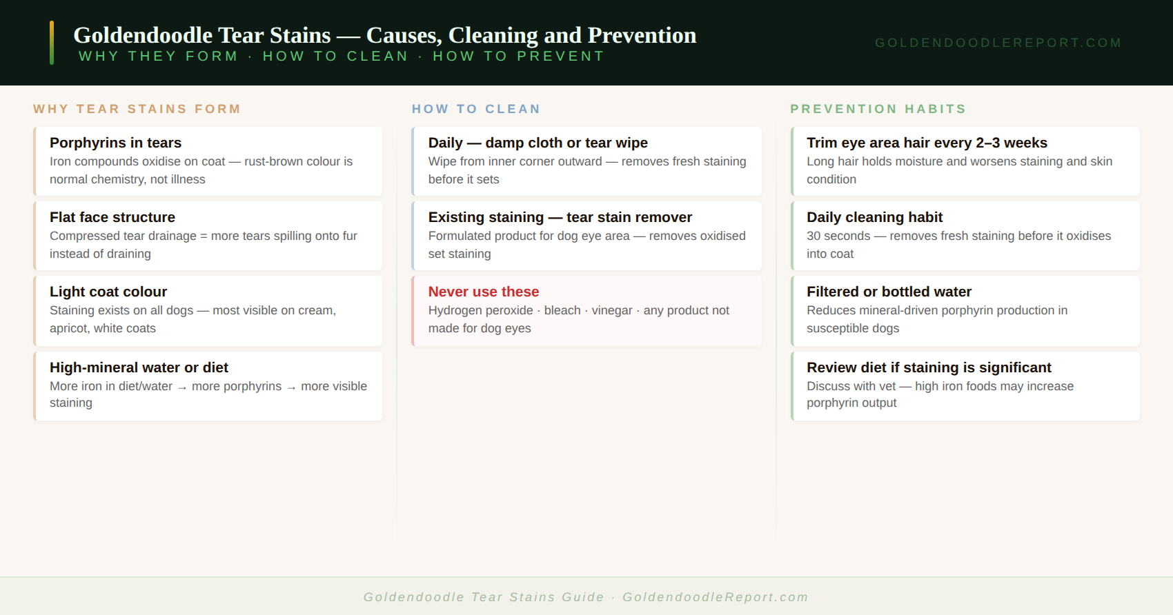 Goldendoodle tear stains guide — showing causes, when to see a vet, and the cleaning and prevention routine