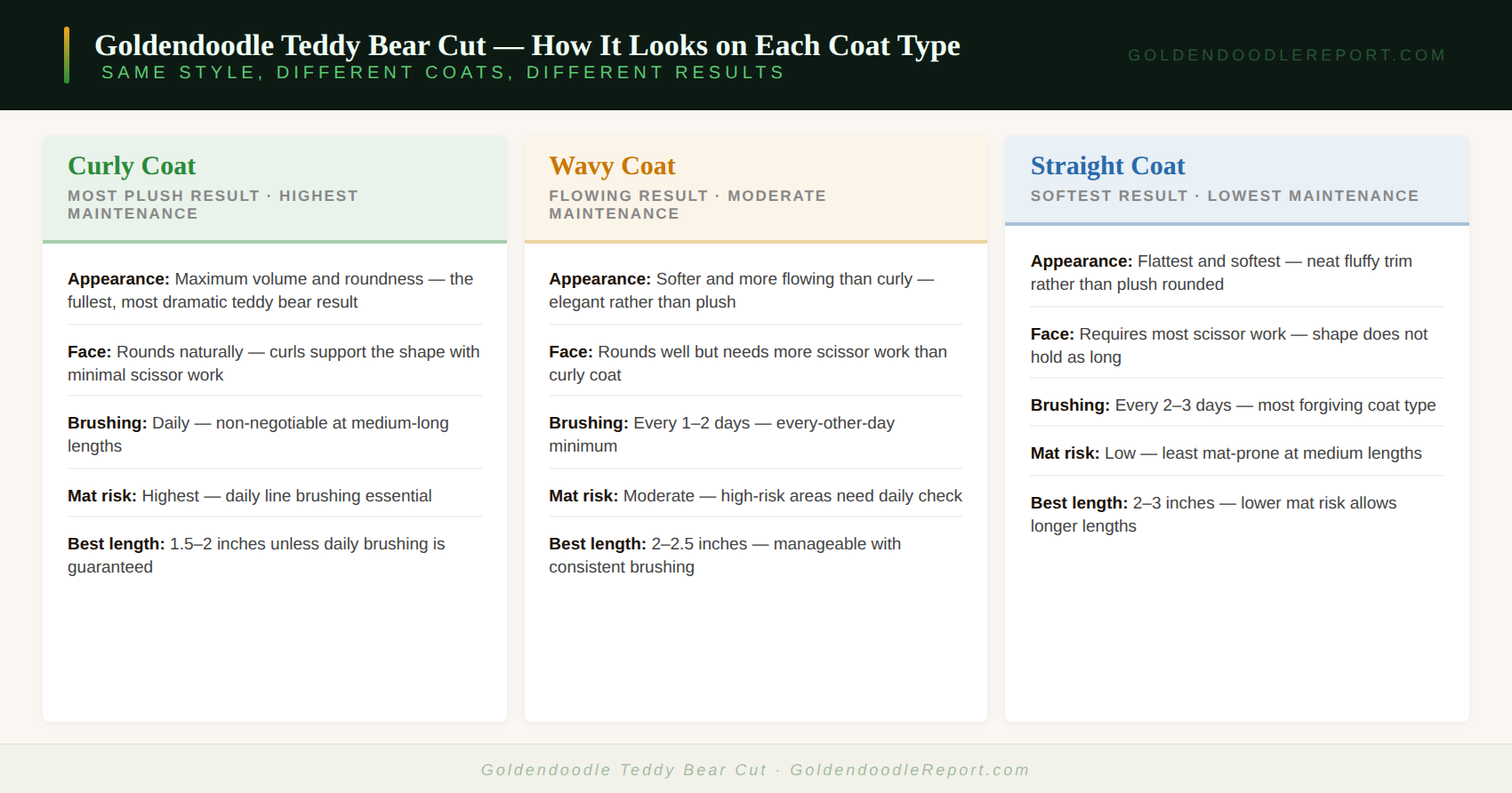 Goldendoodle teddy bear cut guide — showing the style specifications, coat type variations, and maintenance requirements