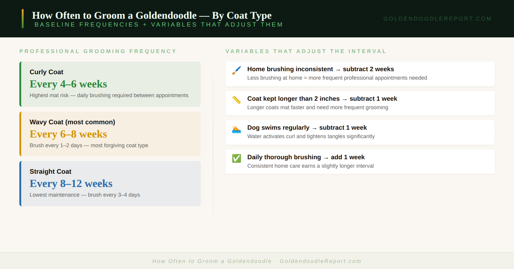 How often to groom a Goldendoodle — frequency guide by coat type showing curly, wavy and straight coat grooming intervals