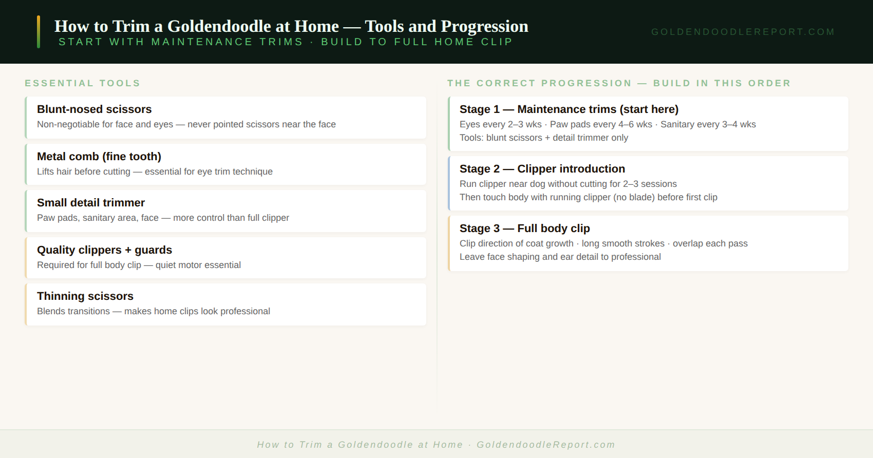How to trim a Goldendoodle at home — guide showing safe home trim areas, required tools, and the progression from beginner to full home grooming