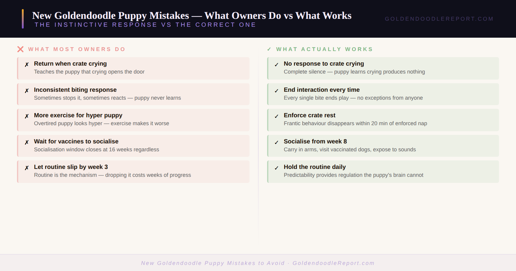 New goldendoodle puppy mistakes — the most common errors new owners make and the corrections that work