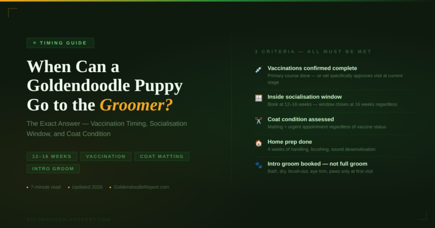 When can a Goldendoodle puppy go to the groomer — timing guide showing the 3 criteria that must be met before booking the first appointment