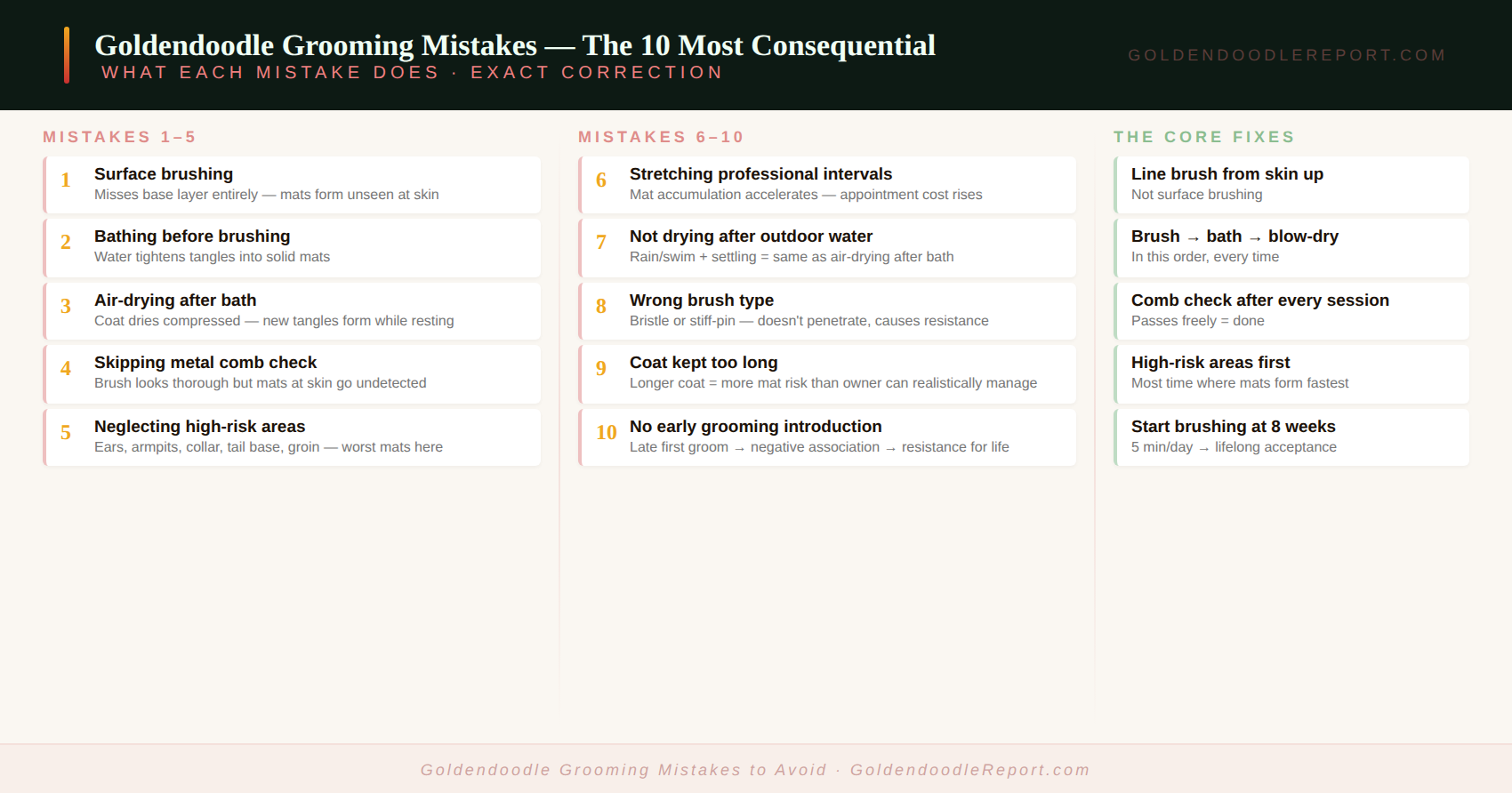 Goldendoodle grooming mistakes to avoid — the ten most common mistakes and their exact corrections