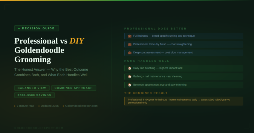 Professional vs DIY Goldendoodle grooming showing what professional does better versus what home handles well with the combined approach and savings