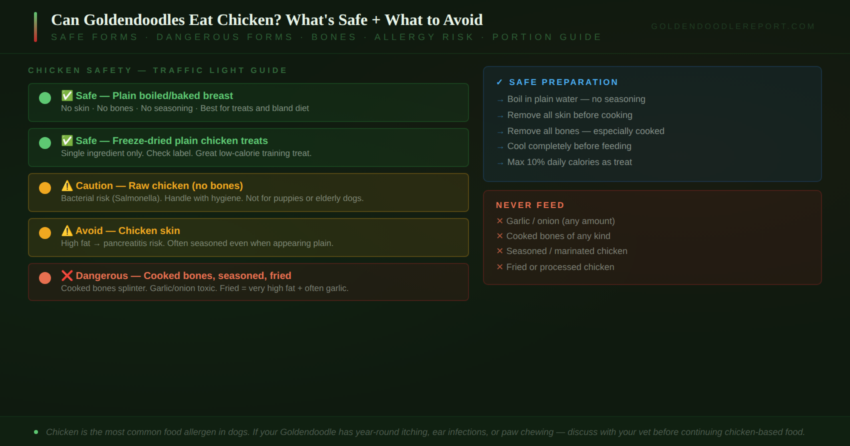 Can Goldendoodles eat chicken — traffic light guide showing safe forms green, caution amber and dangerous red with preparation instructions
