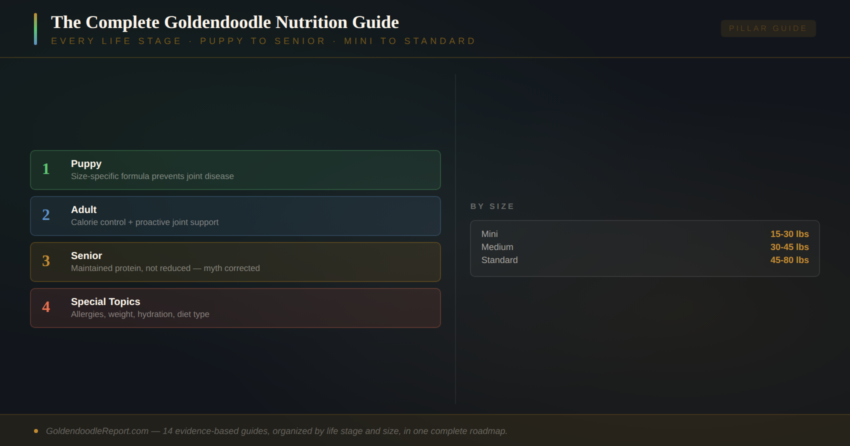 Goldendoodle nutrition guide — complete roadmap covering puppy, adult, and senior feeding, weight management, allergies, and safety across all sizes